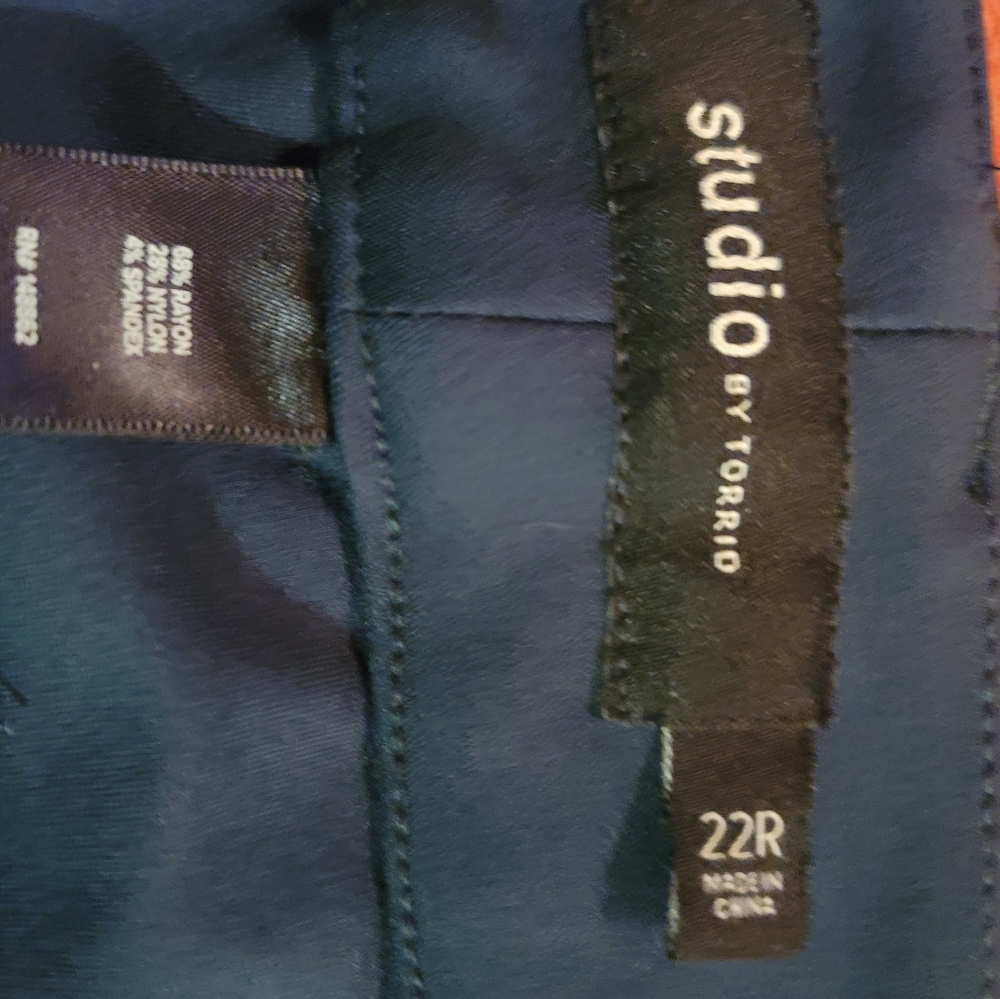 Torrid Studio Pants